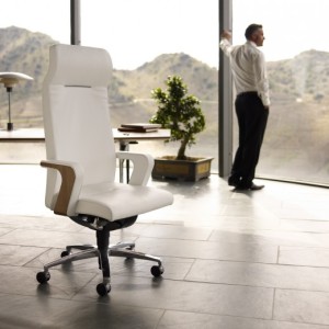 comfort of an ergonomic chair